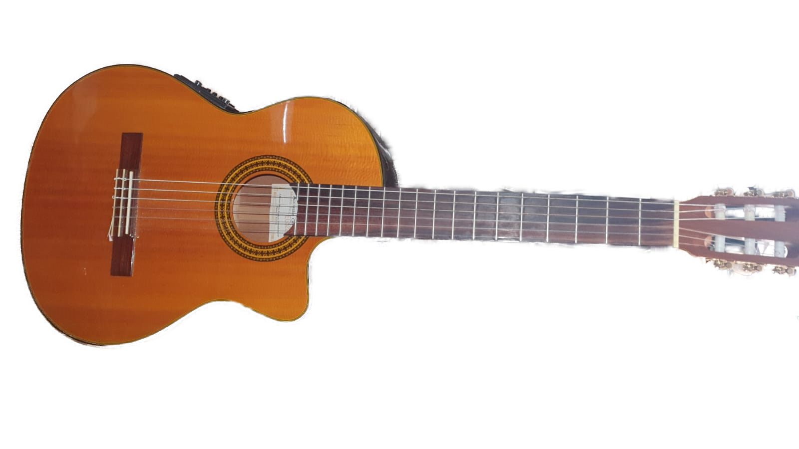 Takamine2019