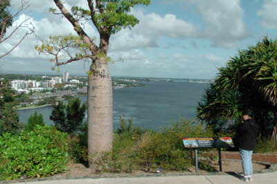 20170519_135543_0012_IMG